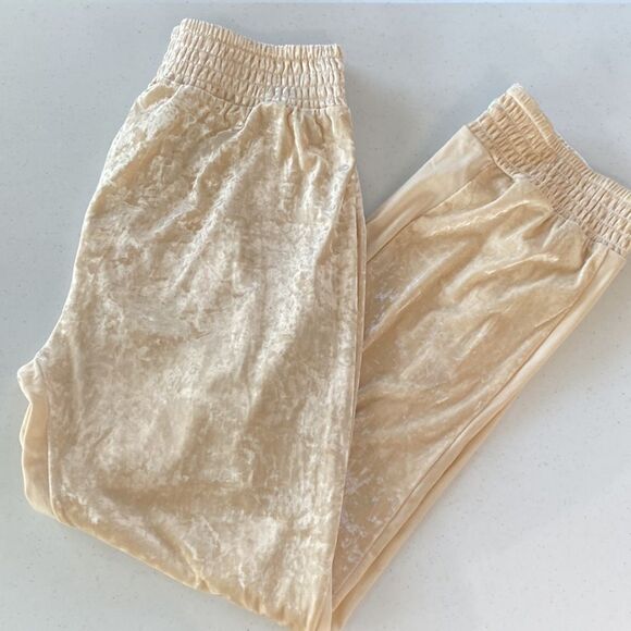 We Are HAH 1 Track Mind Crushed Velvet Jogger Pant in Almond Milk Slouchy - Picture 16 of 16